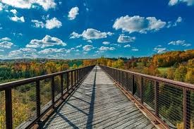 Relaxing Lakeside Day Trips from Toronto Worth Visiting