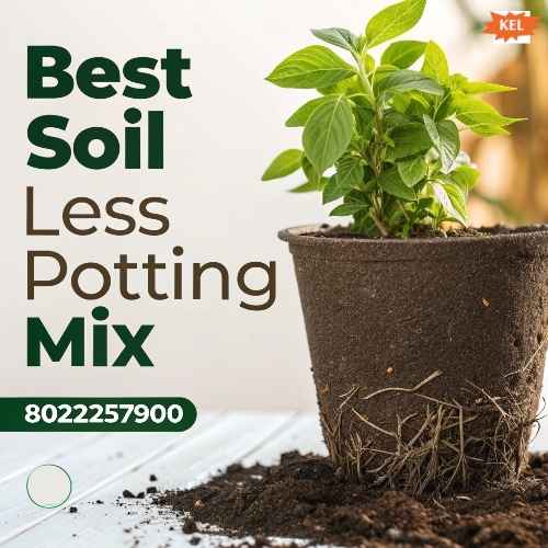 Best Soil Less Potting Mix Solutions by Keltech Energies