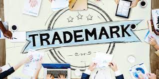 Trademark Agent in India: Complete Guide, Eligibility, Fees & Salary