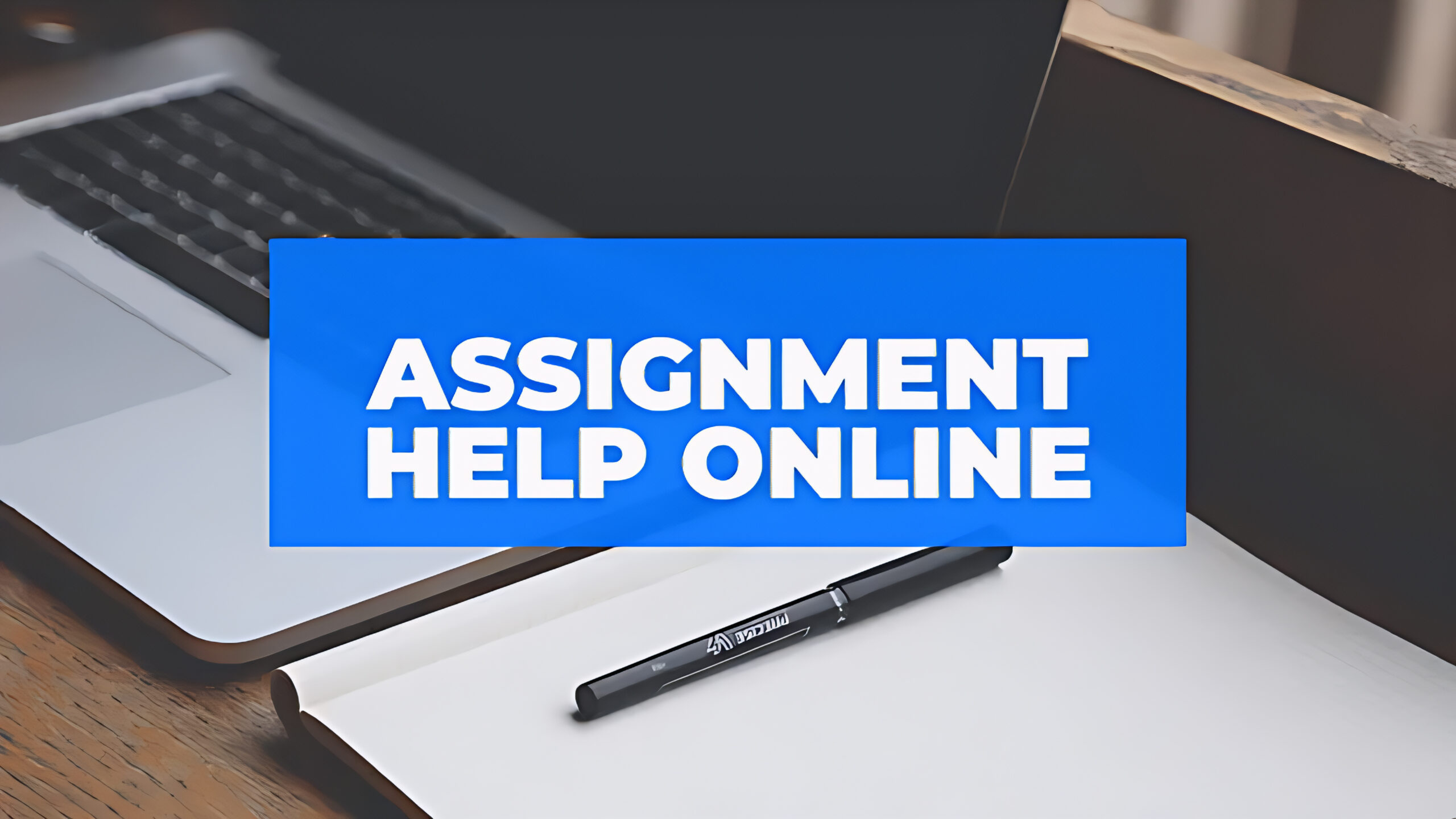 Assignment Help: Reliable Academic Support For Student Success