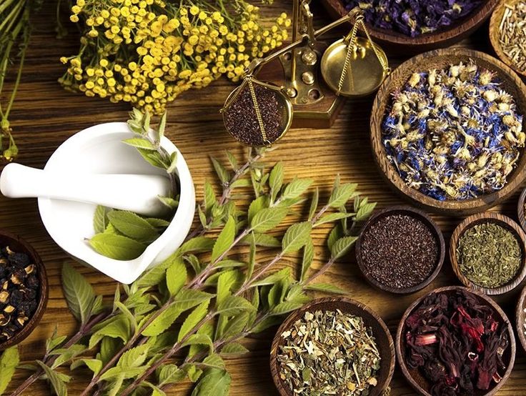 The Science Behind High-Purity Herbal Extracts