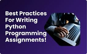 How Can Python Assignment Help Improve My Grades?