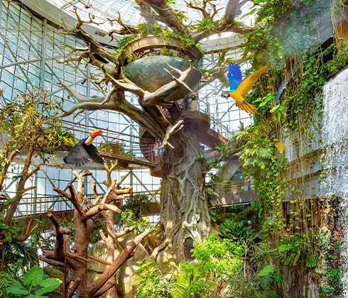 Top Attractions Inside Indoor Rainforest Dubai You Should Not Miss